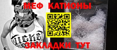 индика Гатчина