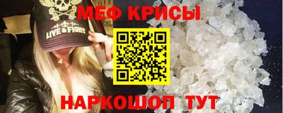 индика Гатчина
