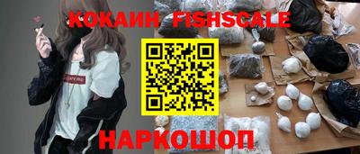 индика Гатчина