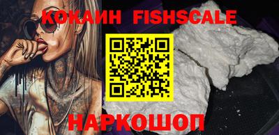 индика Гатчина
