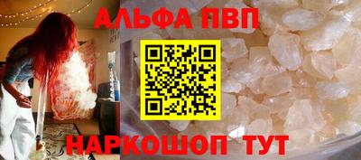 индика Гатчина