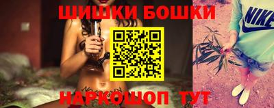 индика Гатчина