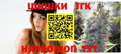 индика Гатчина