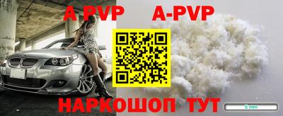 индика Гатчина