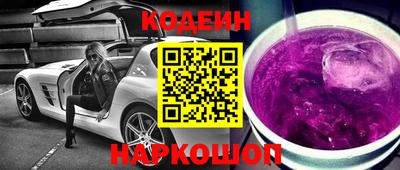 индика Гатчина